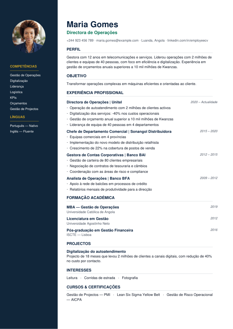 CV style Modern