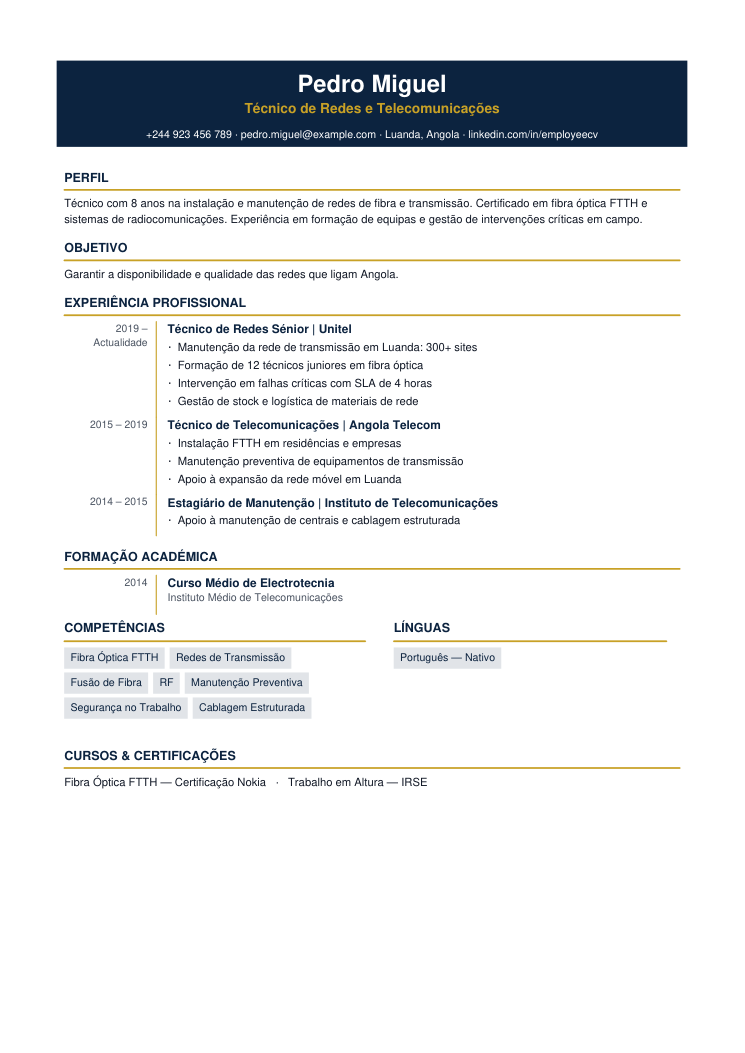 Estilo de CV Técnico